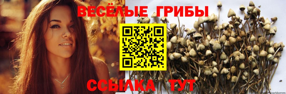 Псилоцибиновые грибы Magic Shrooms  Вход с VPN  продажа наркотиков  Солнечногорск  Галлюциногенные грибы Cubensis 